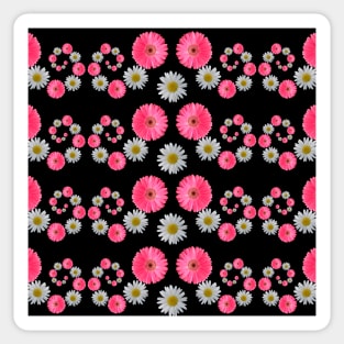 pink flowers daisy flower blooming daisies blooms Sticker